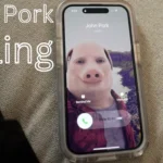 From TikTok to Twitter: How John Pork Calling Went Viral